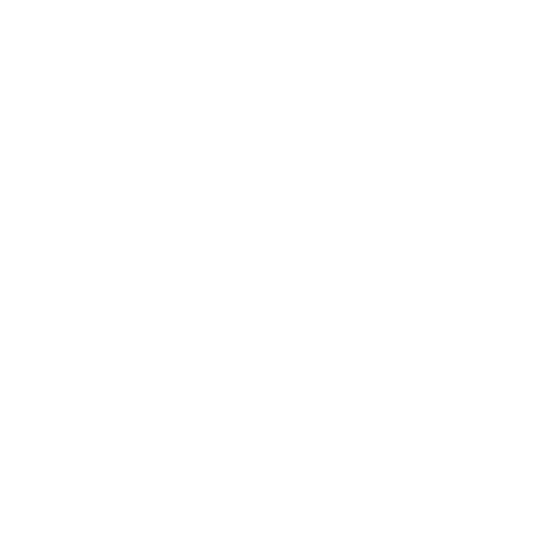 bolt-ai-logo-01